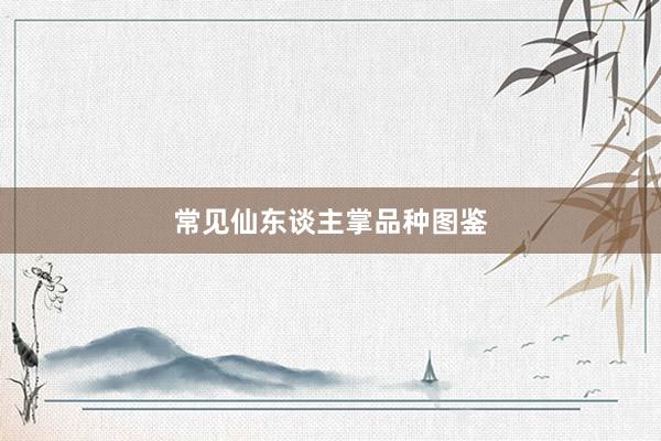常见仙东谈主掌品种图鉴