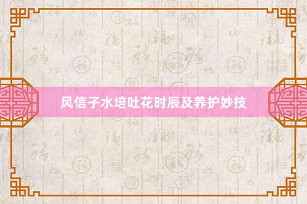 风信子水培吐花时辰及养护妙技