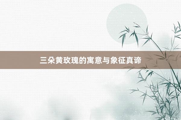三朵黄玫瑰的寓意与象征真谛